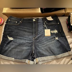 High rise cuffed shorts